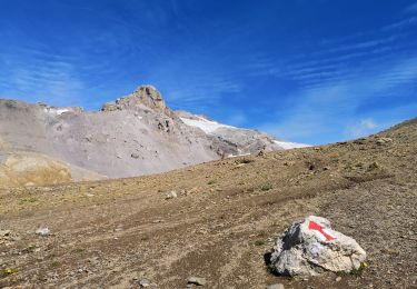 Trail Nordic walking Arbaz - 19.08.20 cabane Audanne - Photo