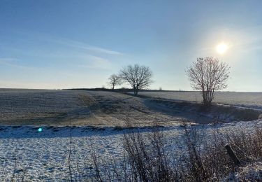 Tour Wandern Genappe - Promenade de Berines, sur les hauteurs  - Photo