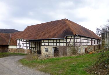 Excursión A pie Reichelsheim (Odenwald) - Rundwanderweg Reichelsheim Totenkirche 4: Panorama-Weg - Photo