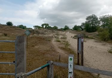 Trail Walking Koksijde - Koksijde autrement  - Photo