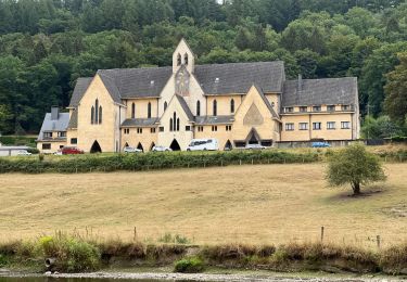 Tocht Stappen Bouillon - Botassart, là où coule une rivière  - Photo