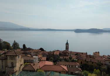 Tocht Stappen Stresa - Stresa-Belgirate-lac Majeur - Photo