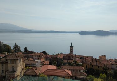 Tocht Stappen Stresa - Stresa-Belgirate-lac Majeur  - Photo