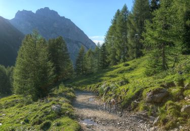 Tocht Te voet San Giovanni di Fassa - IT-E609 - Photo