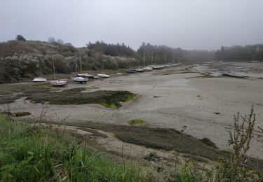 Trail Walking Saint-Coulomb - 2024-03-21 pointe meinga, ile Besnard  - Photo