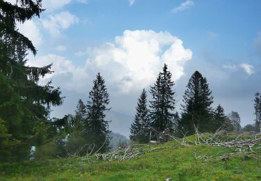 Tocht Te voet Ramsau bei Berchtesgaden - Wanderweg 66 - Photo