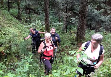 Trail Walking Corbonod - GRAND COLOMBIER: SUR LYAND - CHARBEMENES PAR LES CRETES - ARVIERES par la 