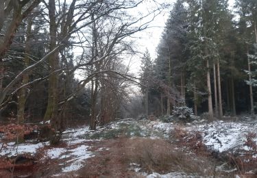 Tocht Stappen Spa - autour de berinzenne - mousseux - Photo