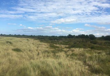 Tour Wandern Tréflez - Dunes de Kerrema - Photo