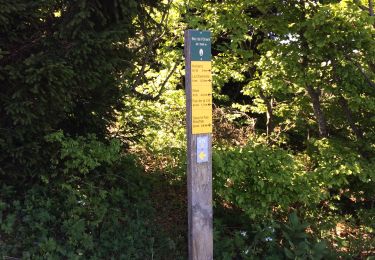 Trail Walking Montaud - Pas Brochier  - Photo