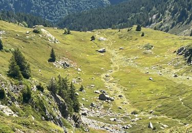 Trail Walking Allemond - Le Rivier York Malaury CRX GR 758 AR trace réelle - Photo