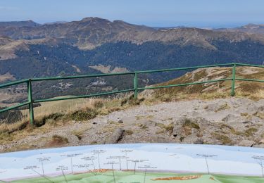 Trail Walking Laveissière - SityTrail - TABAZE Plomb du Cantal - Photo