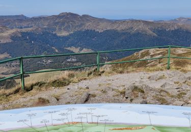 Tour Wandern Laveissière - SityTrail - TABAZE Plomb du Cantal - Photo