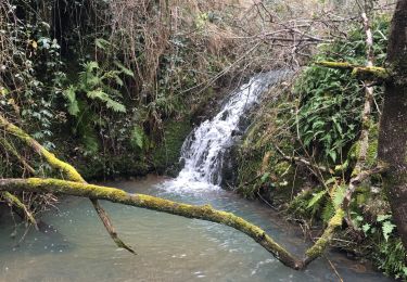 Randonnée Marche Saint-Georges-les-Bains - St Georges  - Photo