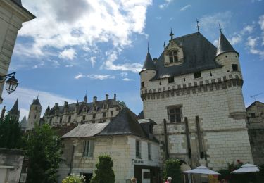 Trail Walking Chambourg-sur-Indre - Chambourg-sur-Indre - l'Isle Auger Loches GR46 - 26.7km 325m 5h40 (30mn) - 2021 07 24 - Photo