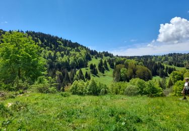 Randonnée Marche Montcel - MASSIF DES BAUGES: PLATEAU DU REVARD AUTOUR DE LA CROIX DES BERGERS - Photo