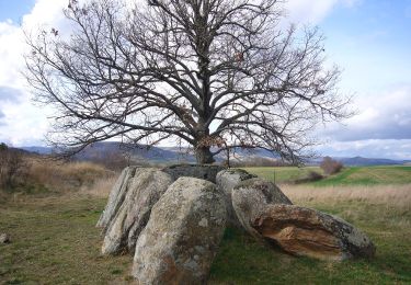 Randonnée A pied Saint-Gervazy - Les Chaux - Photo