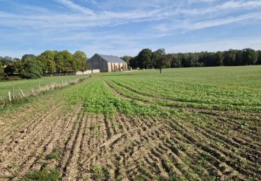 Percorso Marcia Gif-sur-Yvette - Essonne_RD_Chevry=>Grand-Ragonant=>LaGruerie - Photo