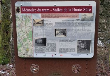 Trail Walking Fauvillers - Sur les traces des chevaliers maudits de Bodange  - Photo