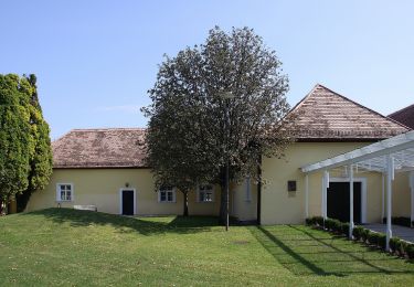 Tour Zu Fuß Siegendorf - Naturweg-Tour (Vital-Parcours Siegendorf) - Photo