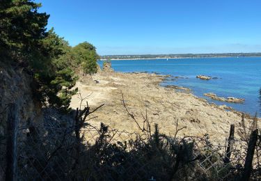 Tour Wandern Fouesnant - Cap cod  8.9.20 - Photo