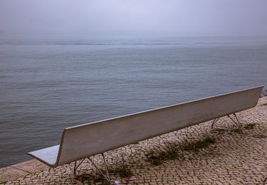 Tour Zu Fuß Alcântara - Rota da Biodiversidade - Photo