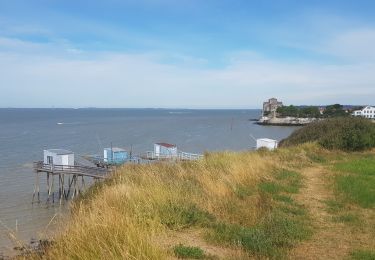 Excursión Bici eléctrica Saint-Georges-de-Didonne - 2019.07.11-34.9km-Catalpas St.Georges Meschers Talmont puis retour Catalpas - Photo