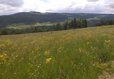 Percorso Marcia Villers-le-Lac - Le Pisoux - Photo