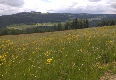 Percorso Marcia Villers-le-Lac - Le Pisoux - Photo