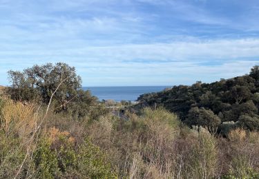 Tocht Stappen Port-Vendres - Cosprons - Photo