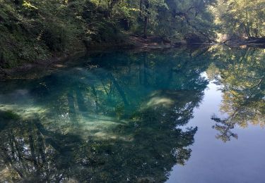 Trail Walking Anjeux - source du Planey - Photo