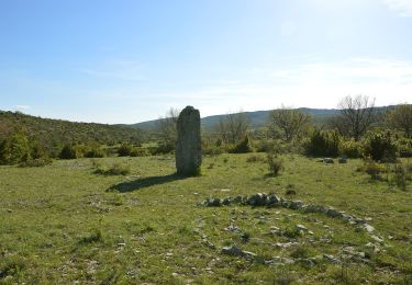 Randonnée A pied Blandas - Les mégalithes du Causse de Blandas - Photo