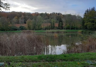 Tocht Stappen Lay-Saint-Christophe - Lay Saint Christophe  - Photo