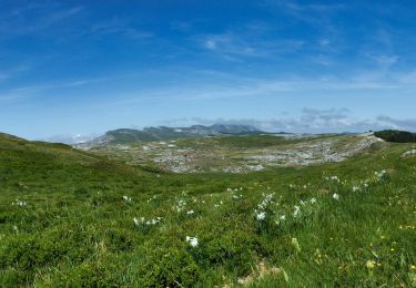 Trail Walking Bouvante - Fond d'Urle Chaud Clapier  - Photo