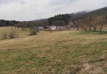 Randonnée Marche Gueberschwihr - Geberschwihr Schauenberg  - Photo