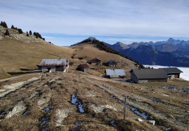 Percorso Sentiero Glières-Val-de-Borne - les glieres - Photo