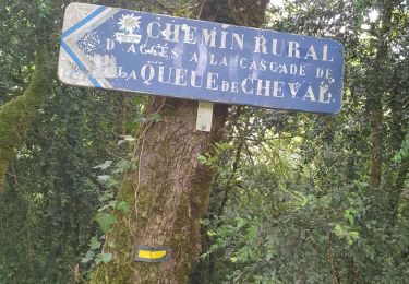 Trail Walking Saint-Claude - la cascade de la queue de  cheval  - Photo