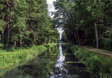 Excursión A pie Sengenthal - Ölkuchenmühle - Kanalschleuse 29 - Photo