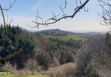 Tour Wandern Isserteaux - Isserteau_PuyDeCourDeLoup_T - Photo