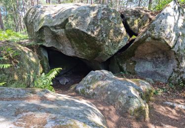 Tocht Stappen Fontainebleau - Fontainebleau sentier Denecourt 8 - Photo