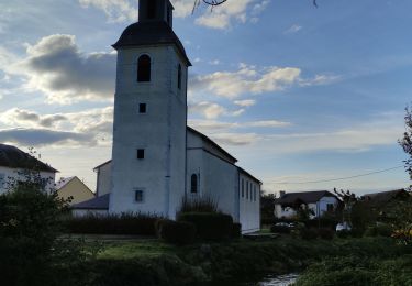 Tocht Stappen Livron - LIVRON RS Artigamen et le bois de chataigners 