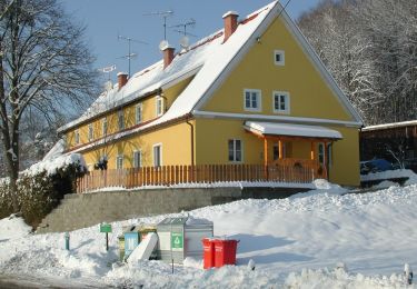 Randonnée A pied Ehrenhausen an der Weinstraße - Ehrenhausen 1 - Photo