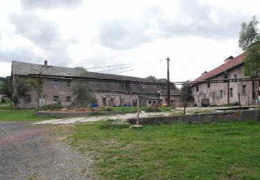 Randonnée A pied Amtsberg - Rundweg Dittersdorf - Photo