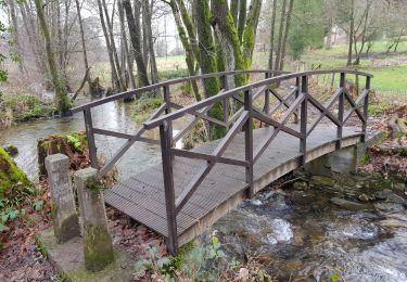 Tocht Stappen Stavelot - Francorchamp  (Neuville) - Photo