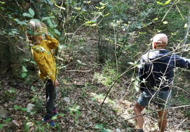 Excursión Senderismo Barjols - les défends ste madeleine  - Photo