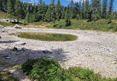 Randonnée Marche Saint-Martin-Vésubie - lac des adus  - Photo