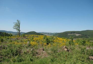 Tocht Te voet Schmallenberg - Dorlar Rundweg D11 - Photo