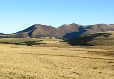 Trail Walking Saulzet-le-Froid - Saulzet_le_Froid_Baladou - Photo