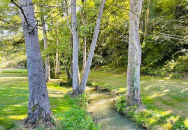 Trail Walking Profondeville - Petite Promenade du Burnot - Photo