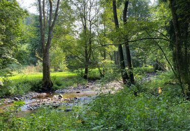 Tour Wandern Libin - Smuid - Photo